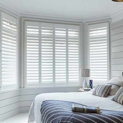 files/Winter_White-Full-Height.jpg